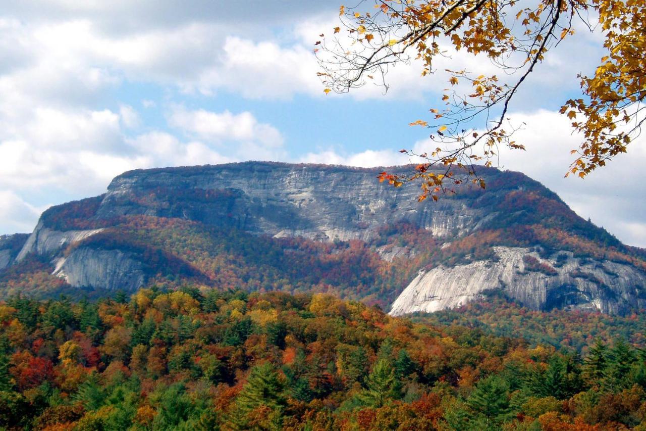 Heavenly Bearadise Cabin In Cashiers, Nc! المظهر الخارجي الصورة
