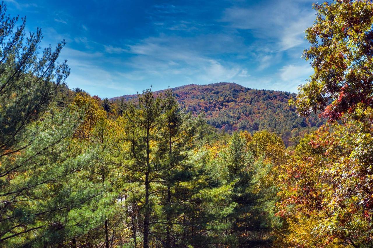 Heavenly Bearadise Cabin In Cashiers, Nc! المظهر الخارجي الصورة